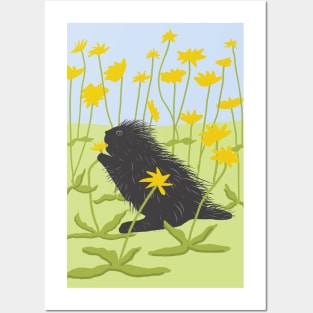 Porcupine Posters and Art